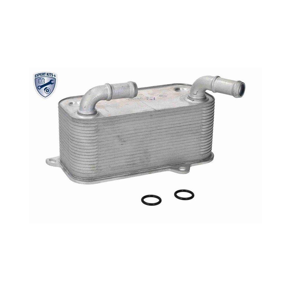 Ölkühler, Automatikgetriebe VEMO V10-60-0106 EXPERT KITS + für VW