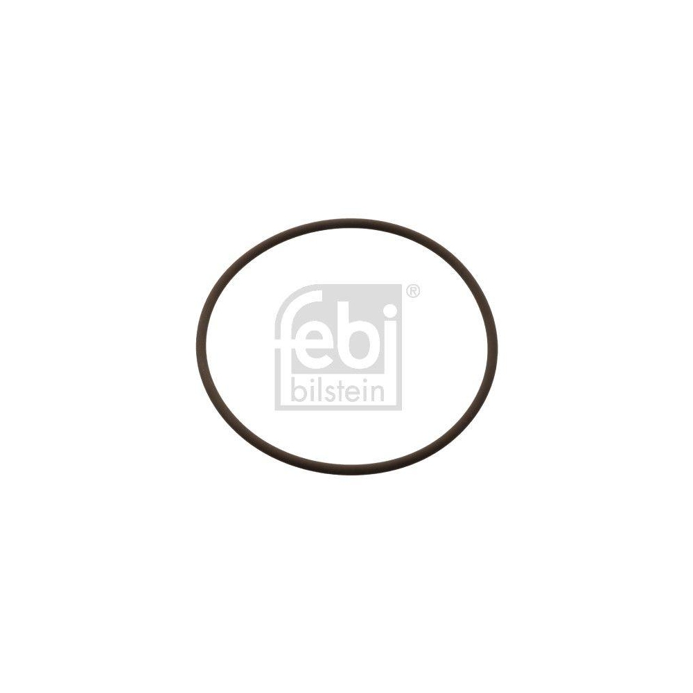 Dichtring, Kühlmittelrohrleitung FEBI BILSTEIN 104848 für DAF