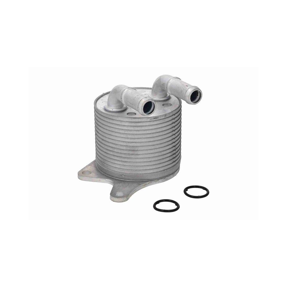Ölkühler, Automatikgetriebe VEMO V20-60-0109 Original VEMO Qualität für BMW MINI