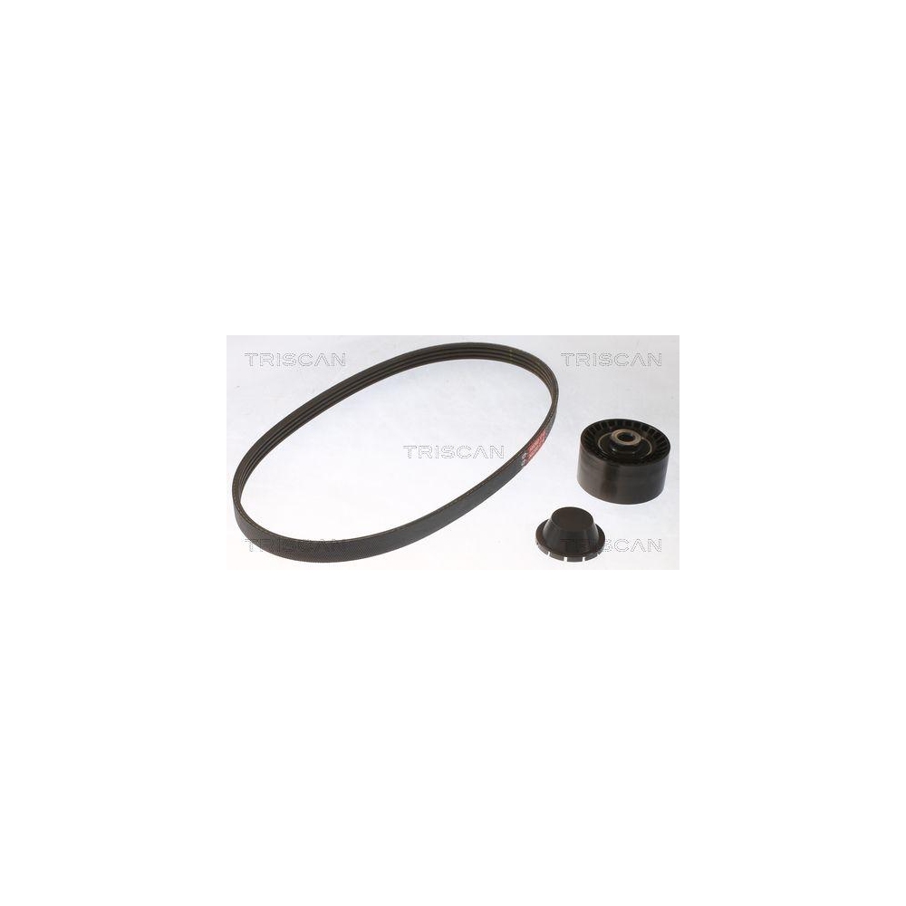 Keilrippenriemensatz TRISCAN 8642 25017 f&uuml;r RENAULT
