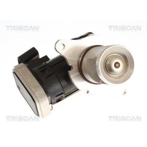 TRISCAN 8813 23045 AGR-Ventil f&uuml;r MERCEDES-BENZ