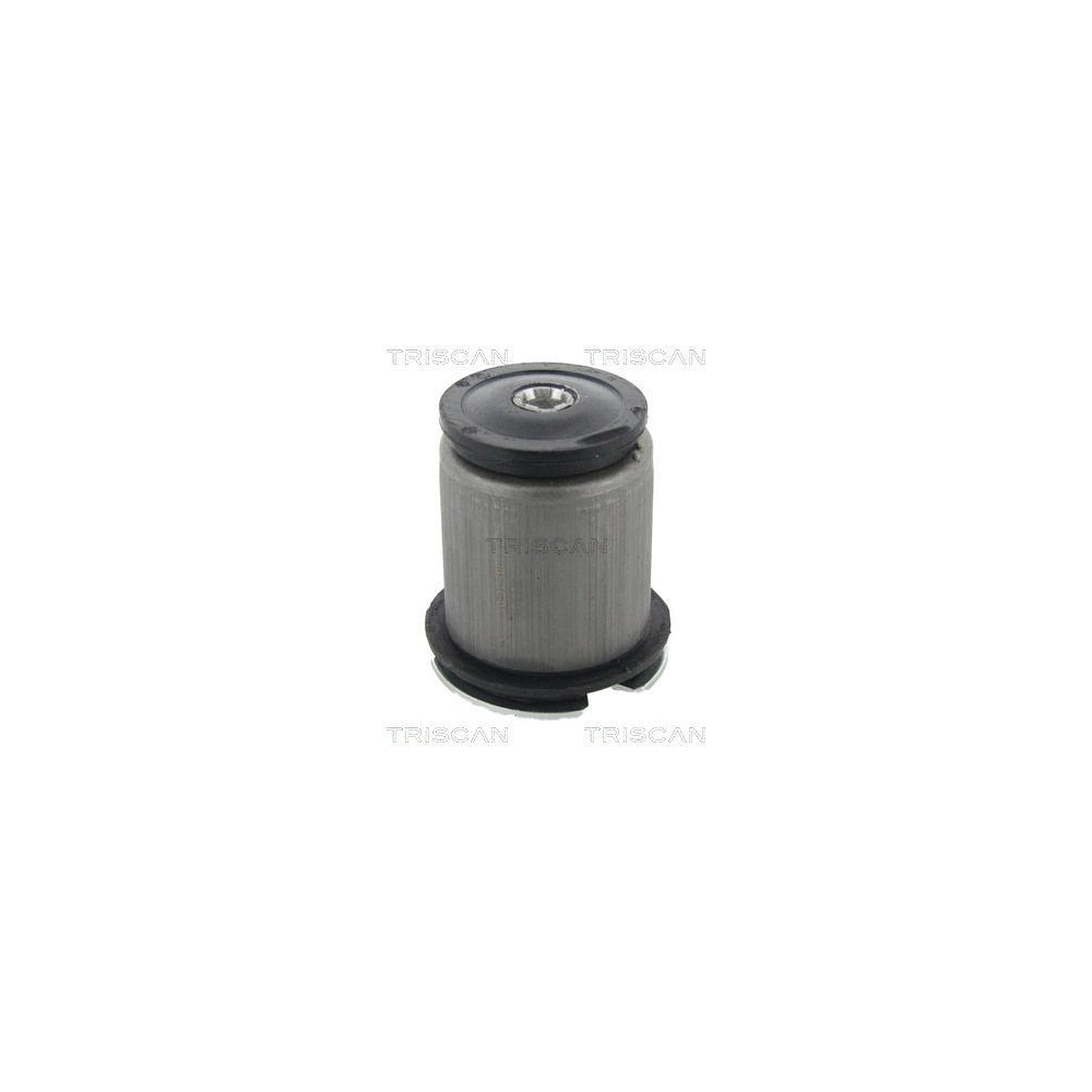 Lagerung, Achsk&ouml;rper TRISCAN 8500 15837 f&uuml;r FIAT, Hinterachse, au&szlig;en