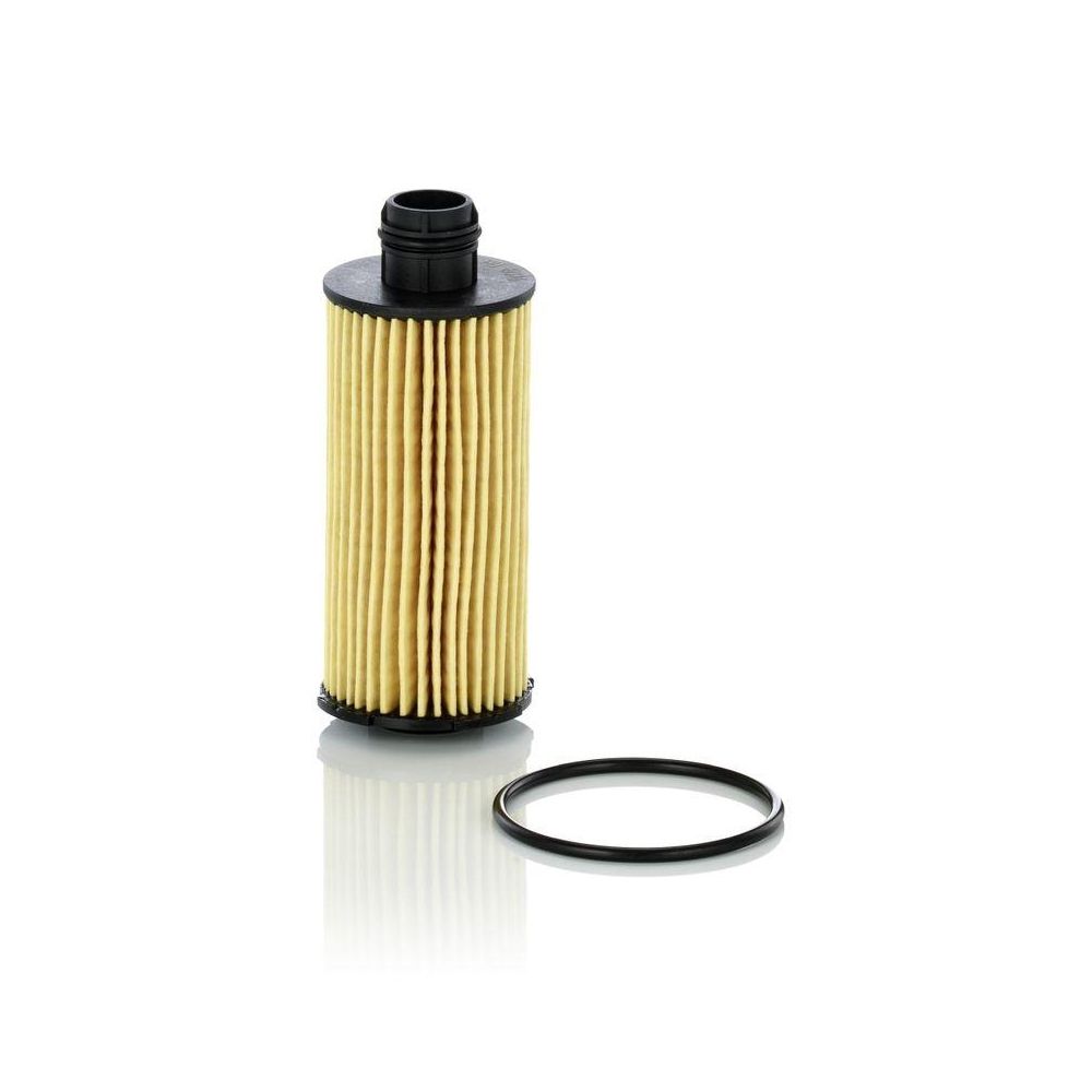 &Ouml;lfilter MANN-FILTER HU 6026 z f&uuml;r FIAT