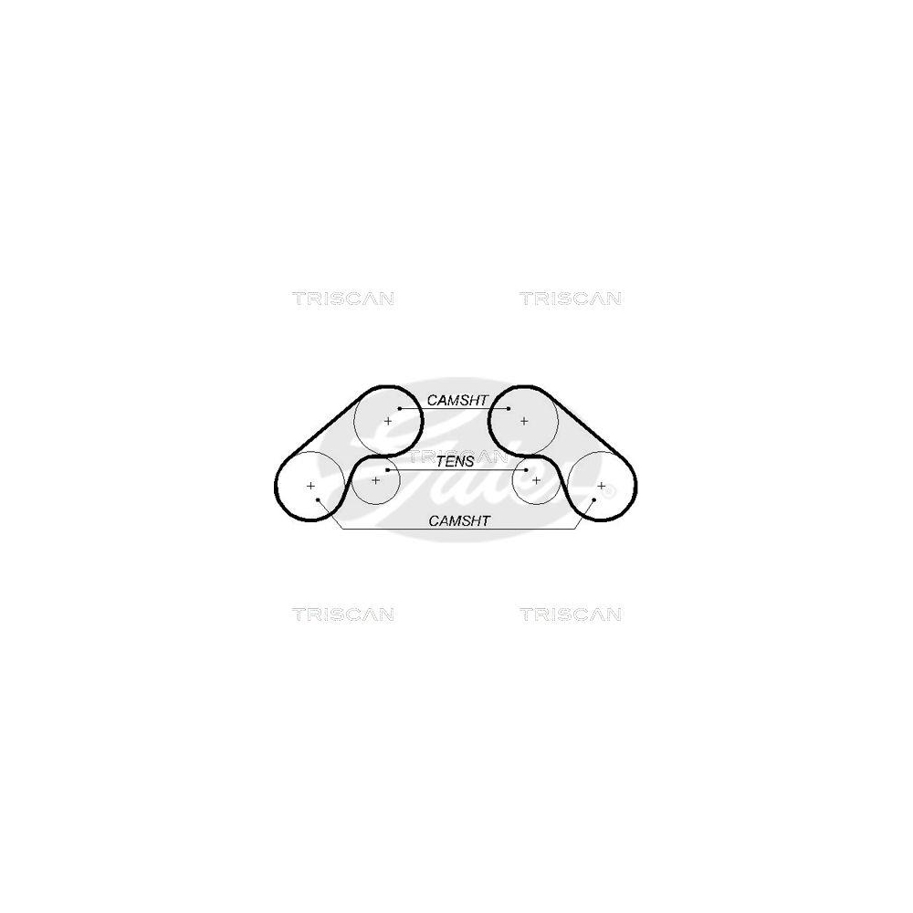 Zahnriemen TRISCAN 8645 5576XS für, links, rechts