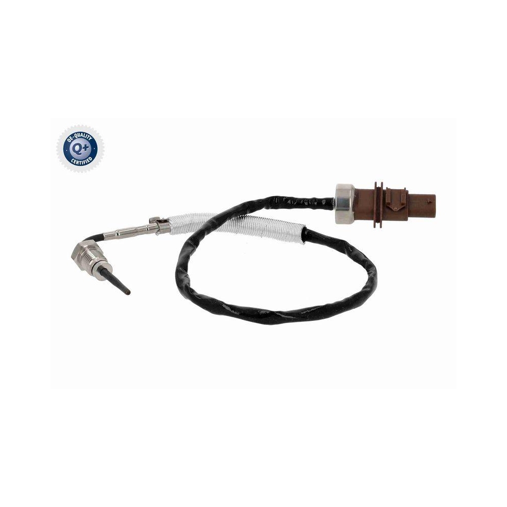 Sensor, Abgastemperatur VEMO V10-72-0442 Q+, Erstausr&uuml;sterqualit&auml;t f&uuml;r AUDI SEAT