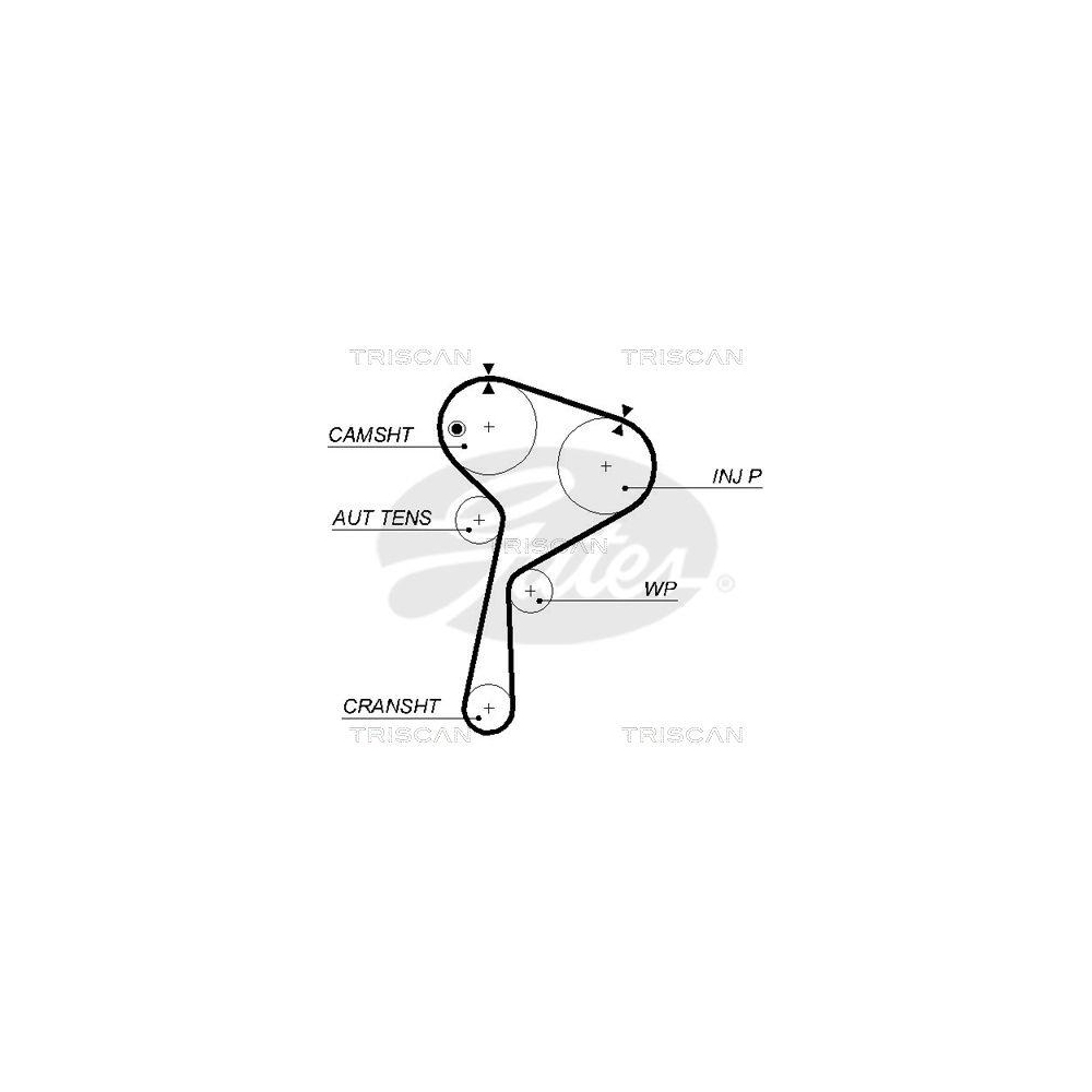 Zahnriemen TRISCAN 8645 5578xs für NISSAN RENAULT SUZUKI DACIA