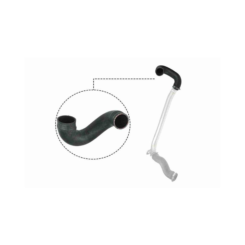 Ladeluftschlauch VAICO V40-1512 Q+, Erstausrüsterqualität für OPEL