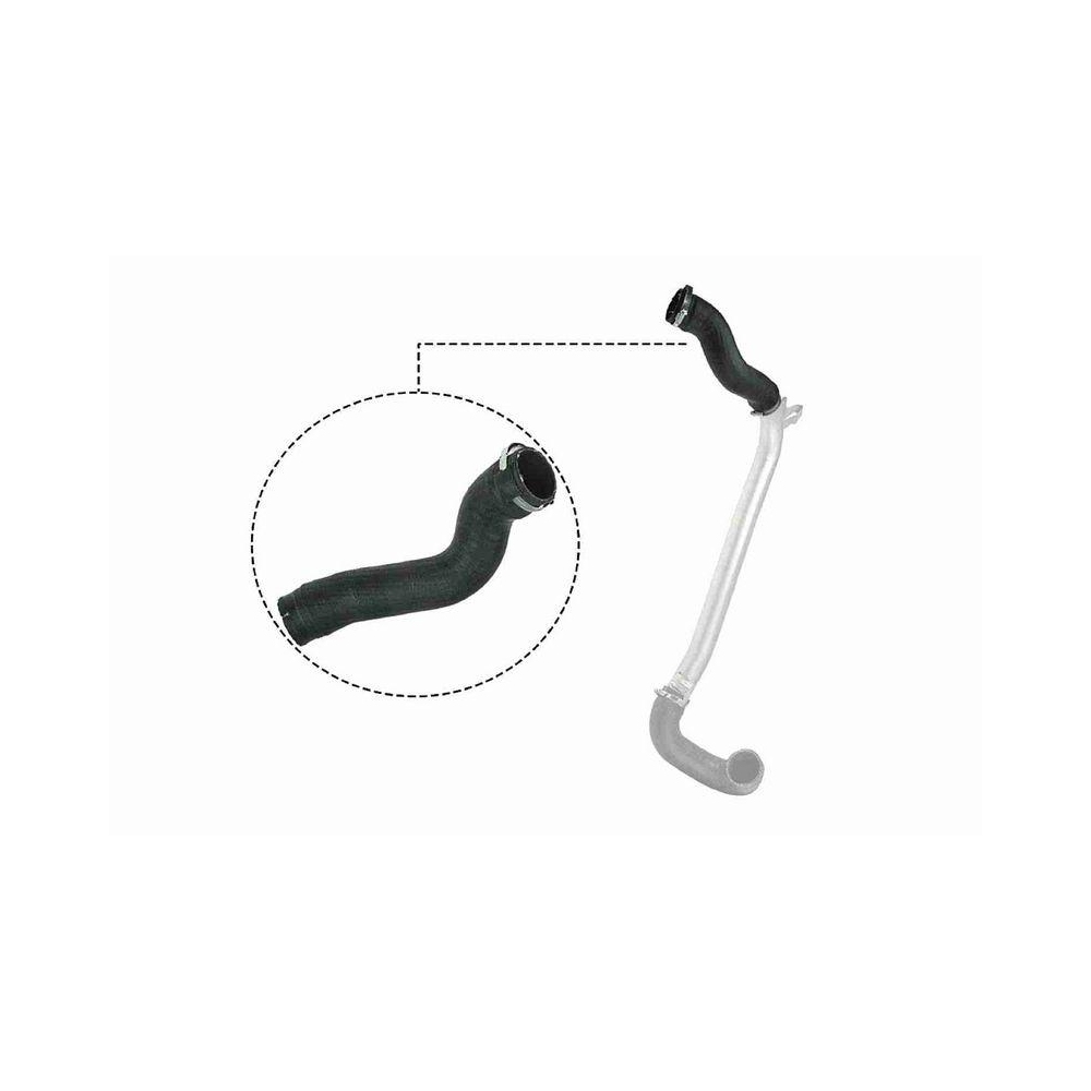 Ladeluftschlauch VAICO V40-1513 Q+, Erstausrüsterqualität für OPEL