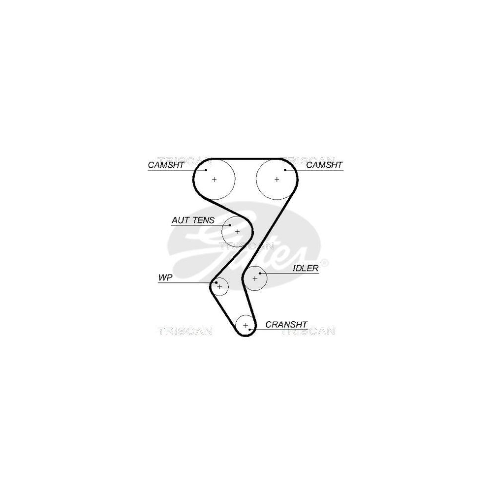 Zahnriemen TRISCAN 8645 5581xs f&uuml;r CITRO&Euml;N PEUGEOT PAYKAN