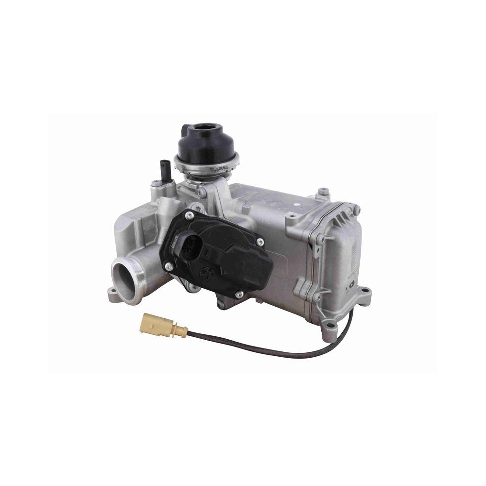 K&uuml;hler, Abgasr&uuml;ckf&uuml;hrung VEMO V10-63-0171 Original VEMO Qualit&auml;t f&uuml;r SEAT SKODA