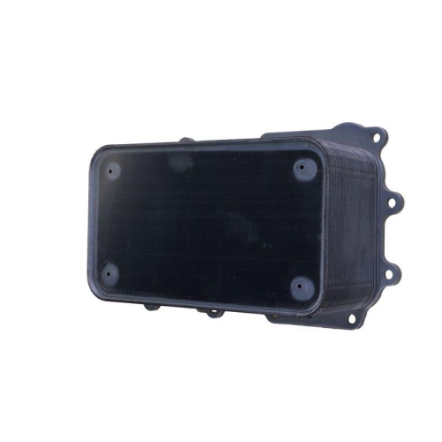HELLA 8MO 366 360-281 &Ouml;lk&uuml;hler, Motor&ouml;l >>> Easy2Fit <<< f&uuml;r DAF