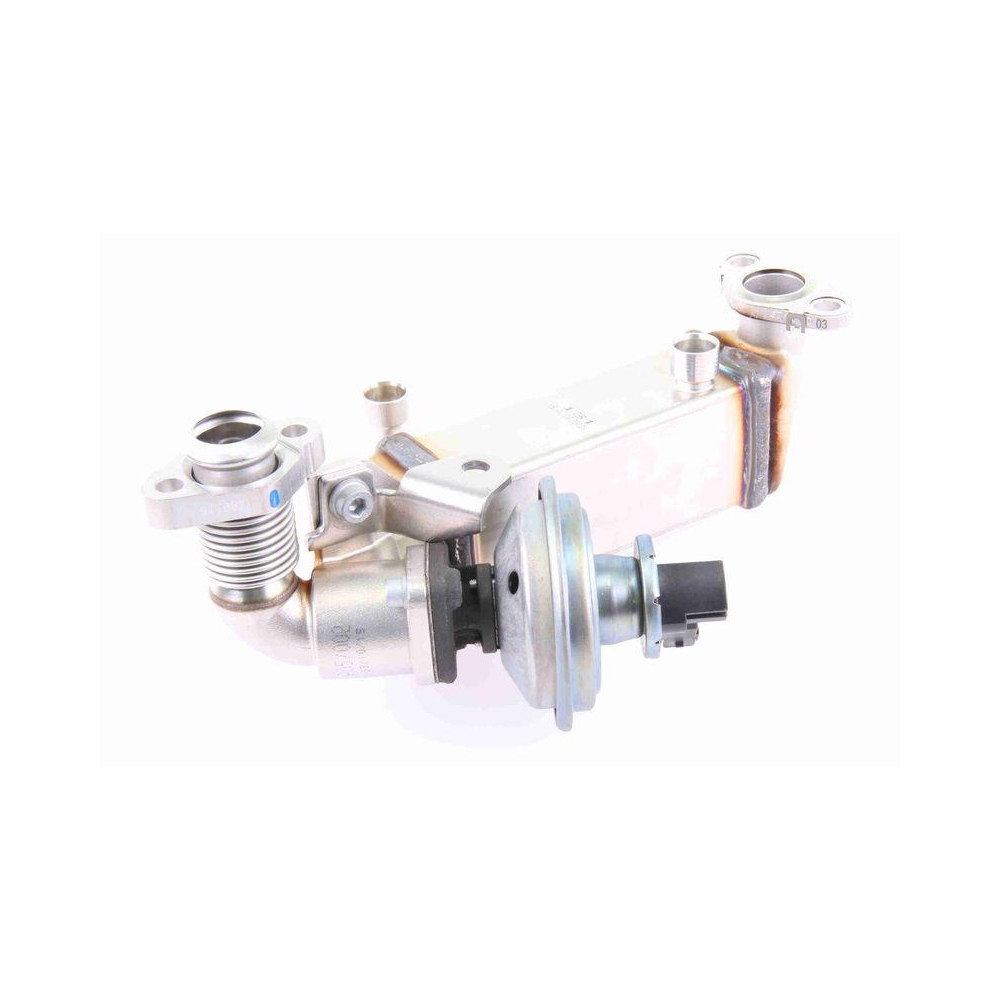 K&uuml;hler, Abgasr&uuml;ckf&uuml;hrung VEMO V20-63-0038 Original VEMO Qualit&auml;t f&uuml;r BMW