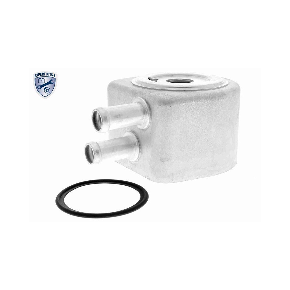 &Ouml;lk&uuml;hler, Motor&ouml;l VEMO V25-60-0040 EXPERT KITS + f&uuml;r FORD