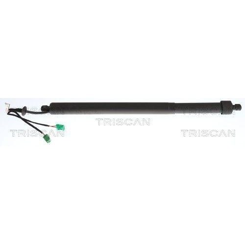 TRISCAN 8710 28304 Gasfeder, Koffer-/Laderaum f&uuml;r CITRO&Euml;N, rechts