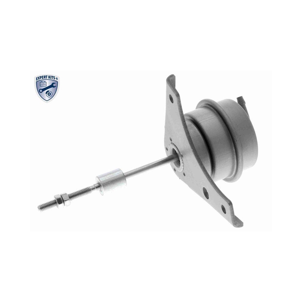 Steuerdose, Lader VEMO V15-40-0013 EXPERT KITS + für AUDI SEAT SKODA VW VAG