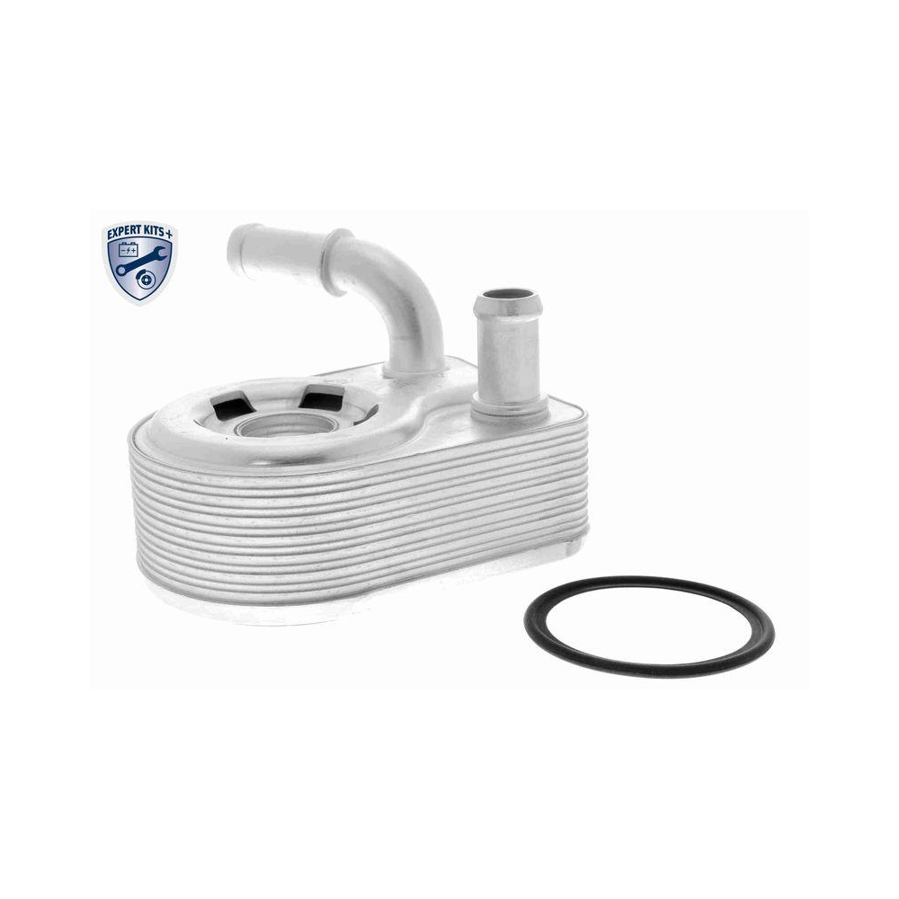 &Ouml;lk&uuml;hler, Motor&ouml;l VEMO V25-60-0046 EXPERT KITS + f&uuml;r FORD