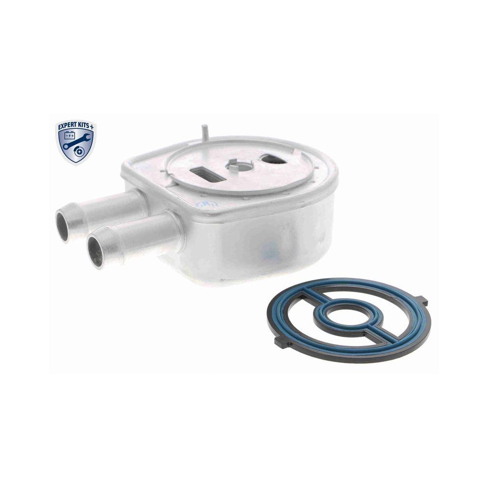 &Ouml;lk&uuml;hler, Motor&ouml;l VEMO V25-60-0047 EXPERT KITS + f&uuml;r FORD