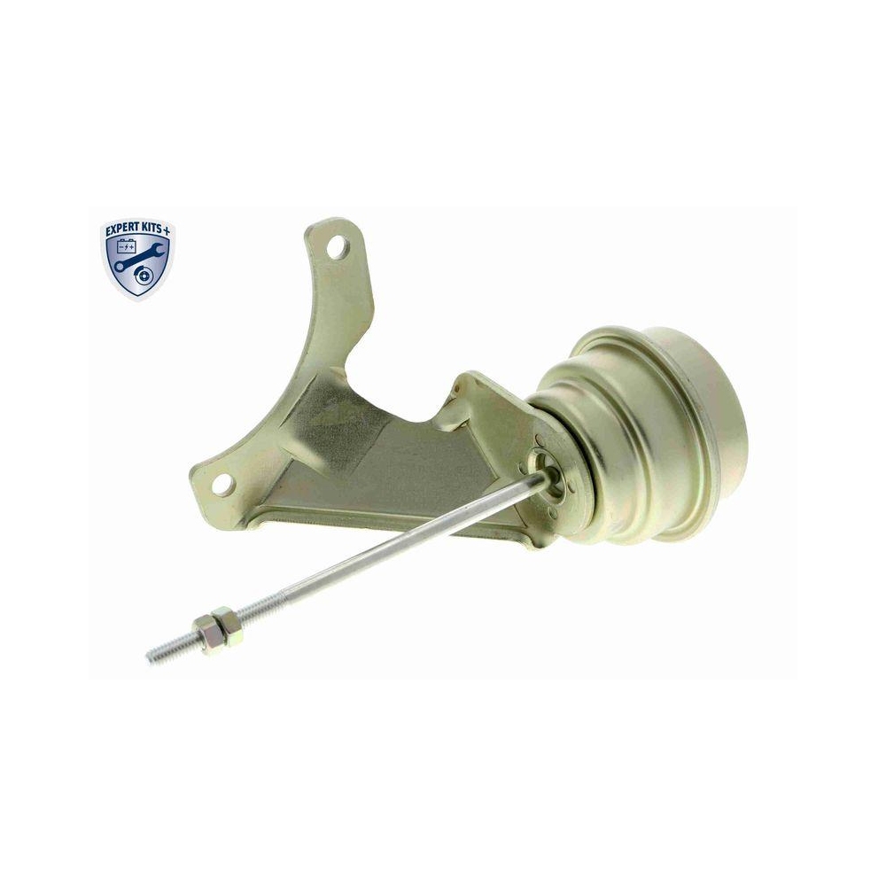 Steuerdose, Lader VEMO V15-40-0017 EXPERT KITS + f&uuml;r SEAT SKODA VW VAG