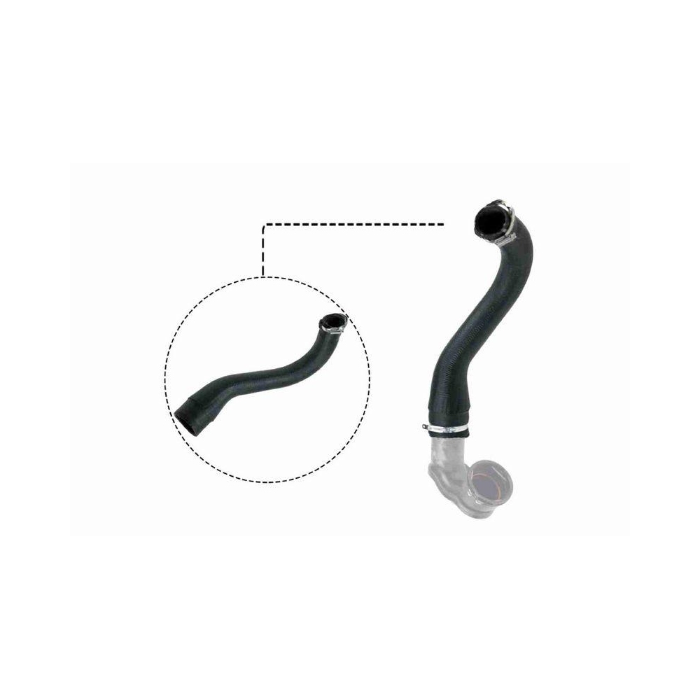 Ladeluftschlauch VAICO V40-1498 Q+, Erstausr&uuml;sterqualit&auml;t f&uuml;r OPEL