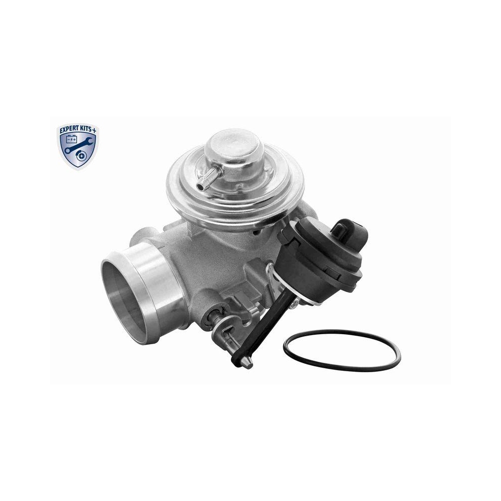 AGR-Ventil VEMO V10-63-0033 EXPERT KITS + f&uuml;r AUDI SEAT SKODA VW VAG