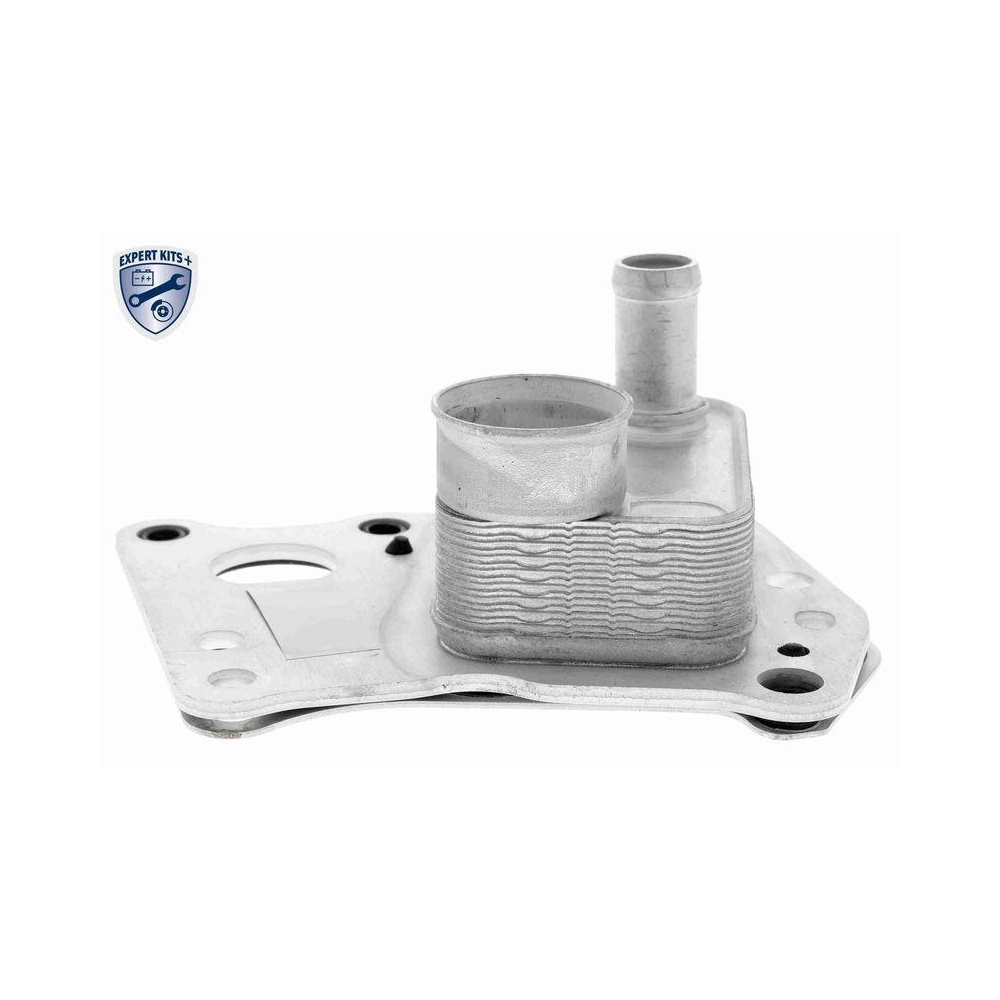 &Ouml;lk&uuml;hler, Motor&ouml;l VEMO V30-60-0008 EXPERT KITS + f&uuml;r MERCEDES-BENZ FORCE