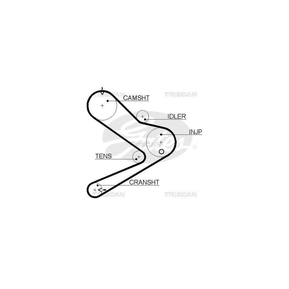 Zahnriemen TRISCAN 8645 5495xs f&uuml;r CITRO&Euml;N FIAT IVECO OPEL PEUGEOT RENAULT DANA