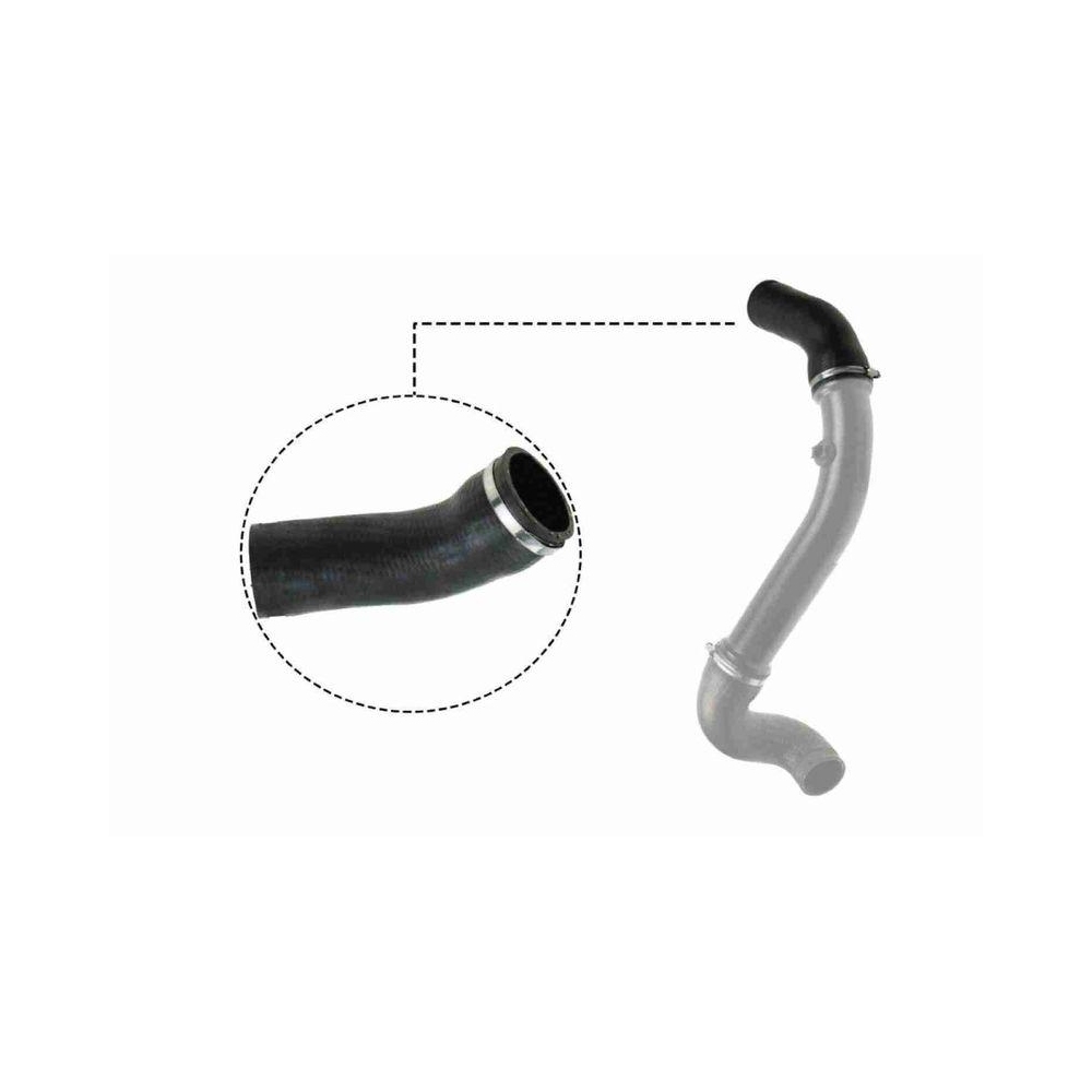 Ladeluftschlauch VAICO V30-2717 Q+, Erstausrüsterqualität für MERCEDES-BENZ