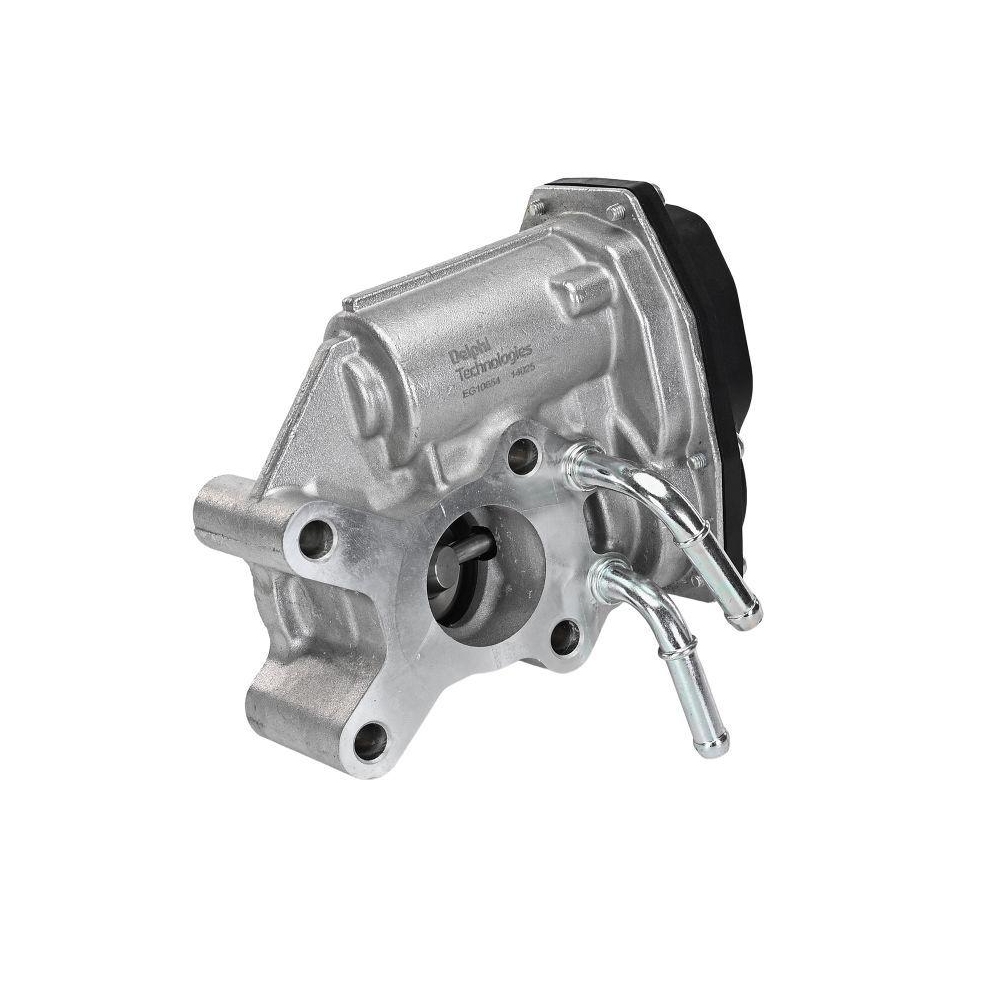 DELPHI EG10654-12B1 AGR-Ventil f&uuml;r NISSAN