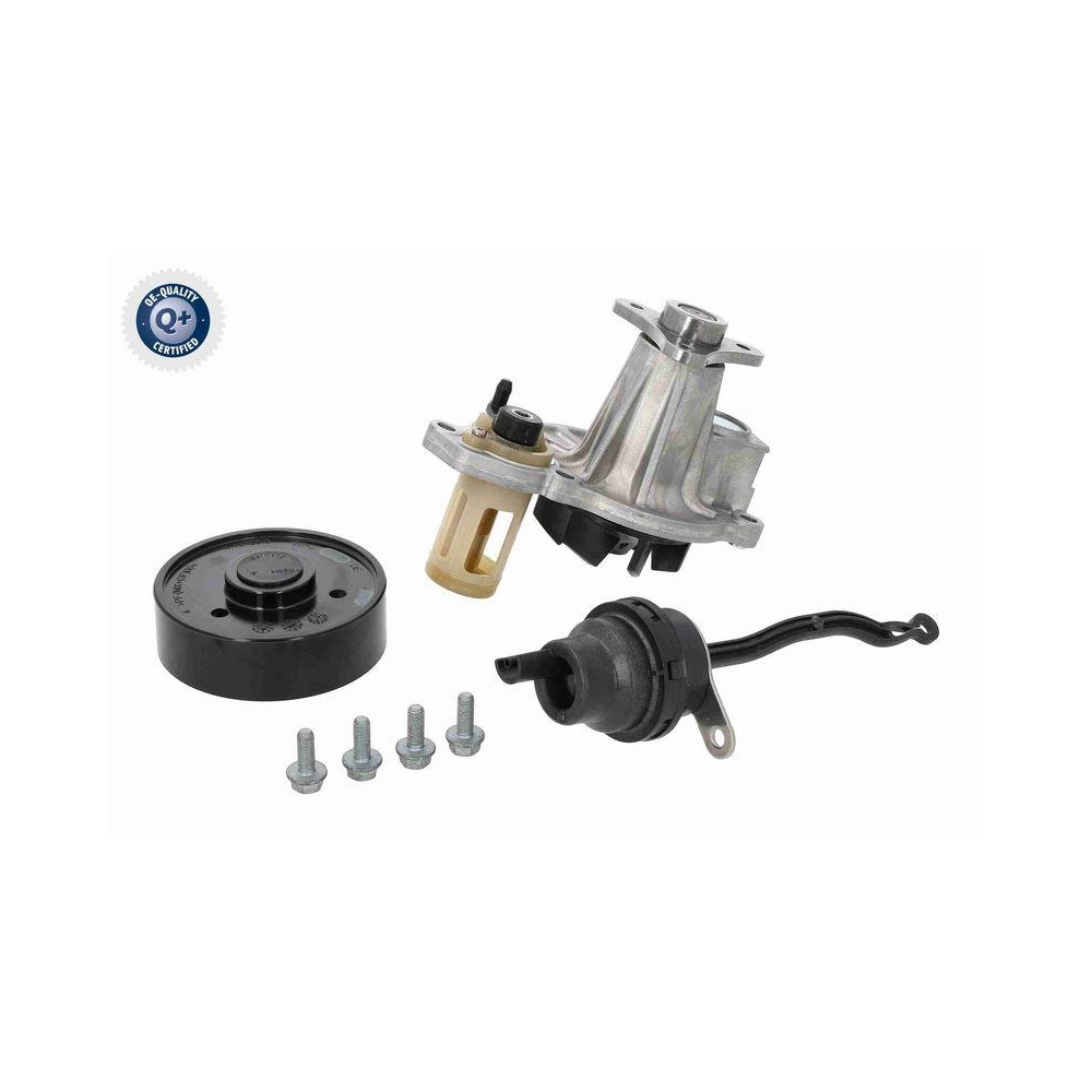 Wasserpumpe, Motork&uuml;hlung VAICO V20-50071 Green Mobility Parts f&uuml;r BMW