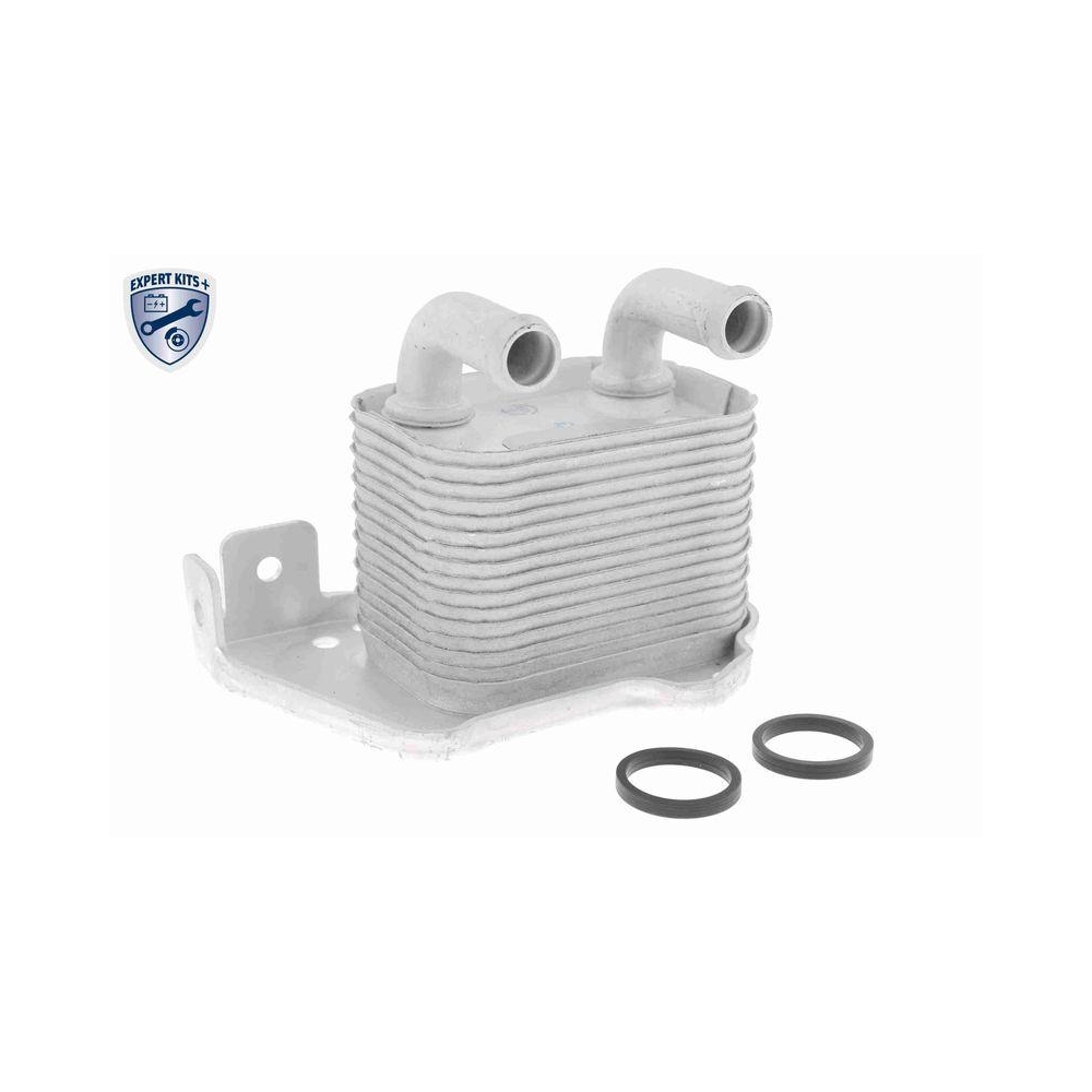 &Ouml;lk&uuml;hler, Motor&ouml;l VEMO V40-60-2105 EXPERT KITS + f&uuml;r OPEL