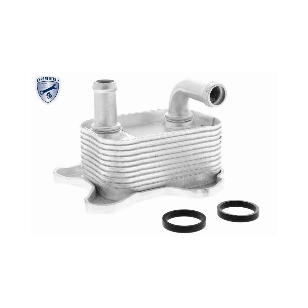 &Ouml;lk&uuml;hler, Motor&ouml;l VEMO V40-60-2106 EXPERT KITS + f&uuml;r OPEL