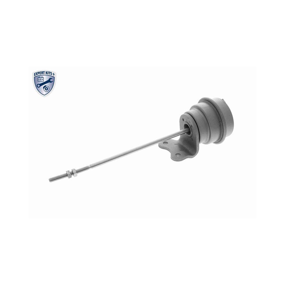 Steuerdose, Lader VEMO V15-40-0032 EXPERT KITS + f&uuml;r SEAT SKODA VW VAG