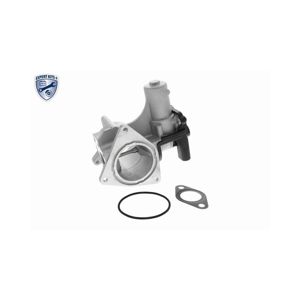 AGR-Ventil VEMO V10-63-0055 EXPERT KITS + f&uuml;r AUDI SEAT SKODA VW VAG