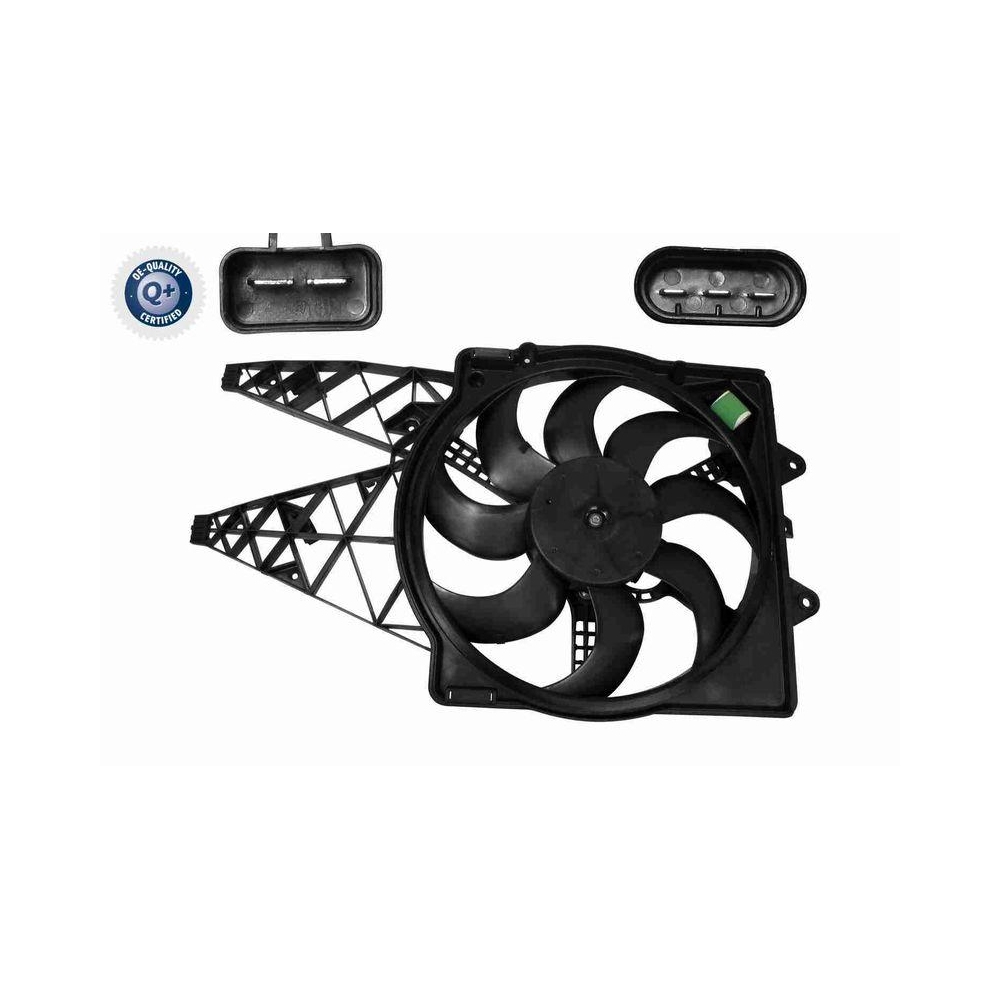 Lüfter, Motorkühlung VEMO V24-01-1285 Q+, Erstausrüsterqualität für FIAT