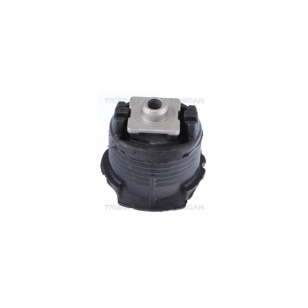 Lagerung, Achsk&ouml;rper TRISCAN 8500 238010 f&uuml;r MERCEDES-BENZ, Hinterachse, hinten