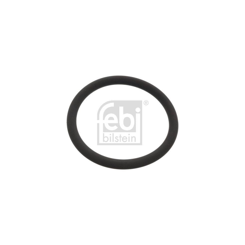 Dichtring, Wasserpumpe FEBI BILSTEIN 48765 für DAF