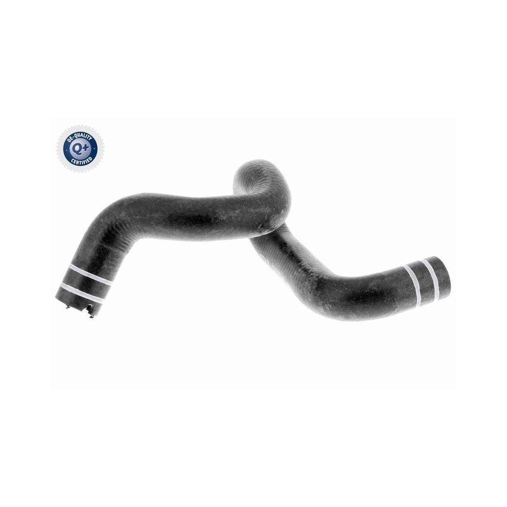 Kühlerschlauch VAICO V24-0806 Q+, Erstausrüsterqualität für FIAT