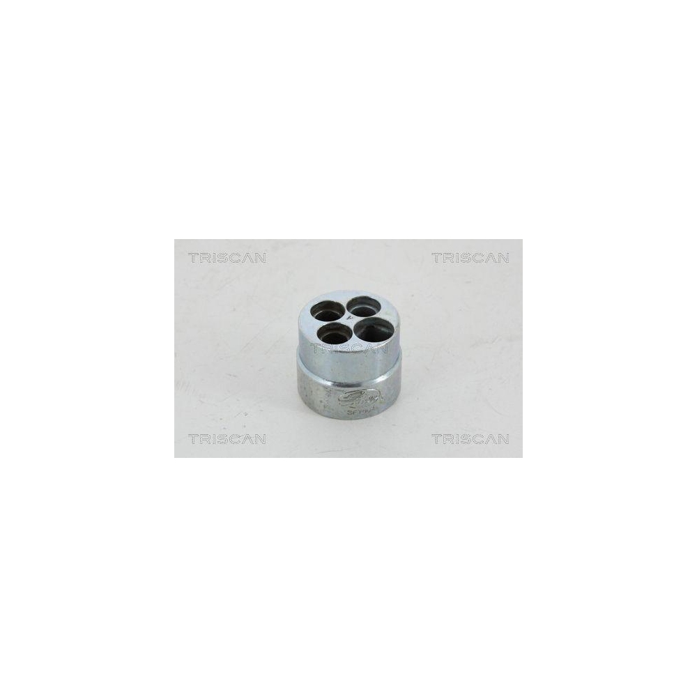 Montagewerkzeug, Keilrippenriemen TRISCAN 8641 sft004 f&uuml;r