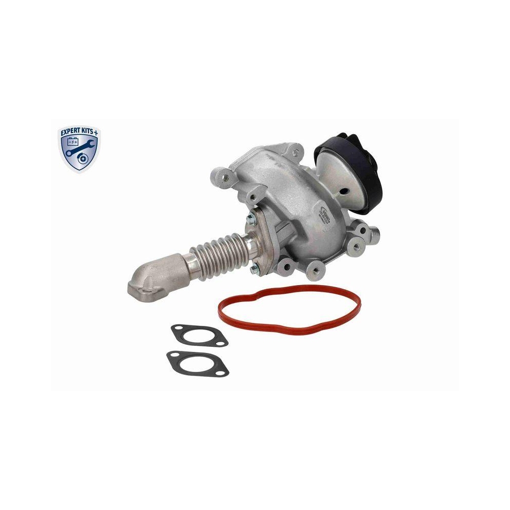 AGR-Ventil VEMO V30-63-0004 EXPERT KITS + f&uuml;r MERCEDES-BENZ