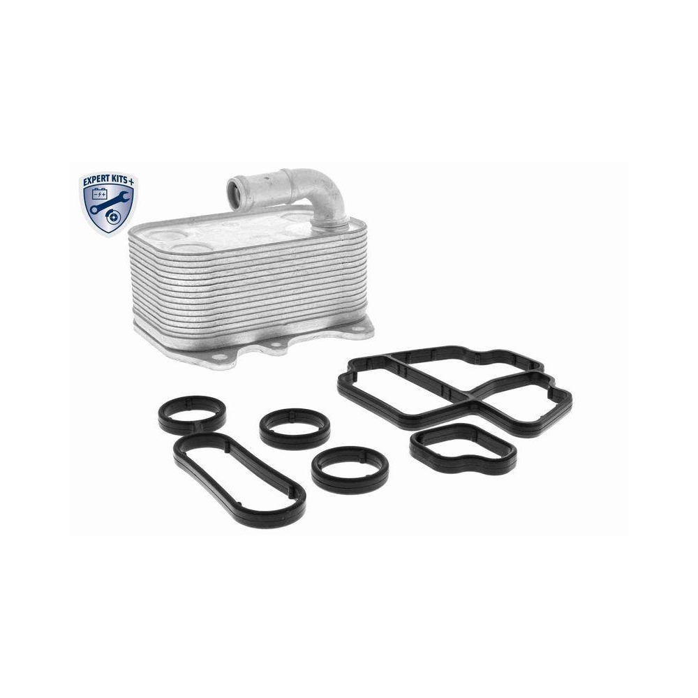 &Ouml;lk&uuml;hler, Motor&ouml;l VEMO V15-60-6089 EXPERT KITS + f&uuml;r AUDI SEAT SKODA VW VAG