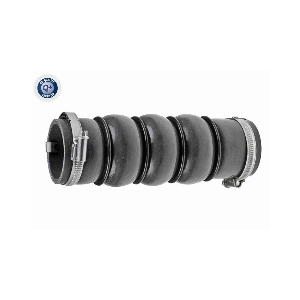 Ladeluftschlauch VAICO V22-0727 Q+, Erstausr&uuml;sterqualit&auml;t f&uuml;r CITRO&Euml;N
