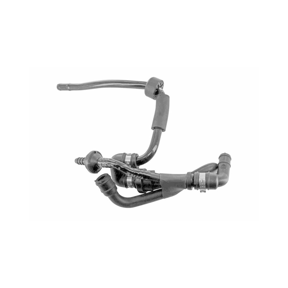 Ventil, Abgasr&uuml;ckf&uuml;hrung VAICO V10-2581 Original VAICO Qualit&auml;t f&uuml;r SEAT SKODA