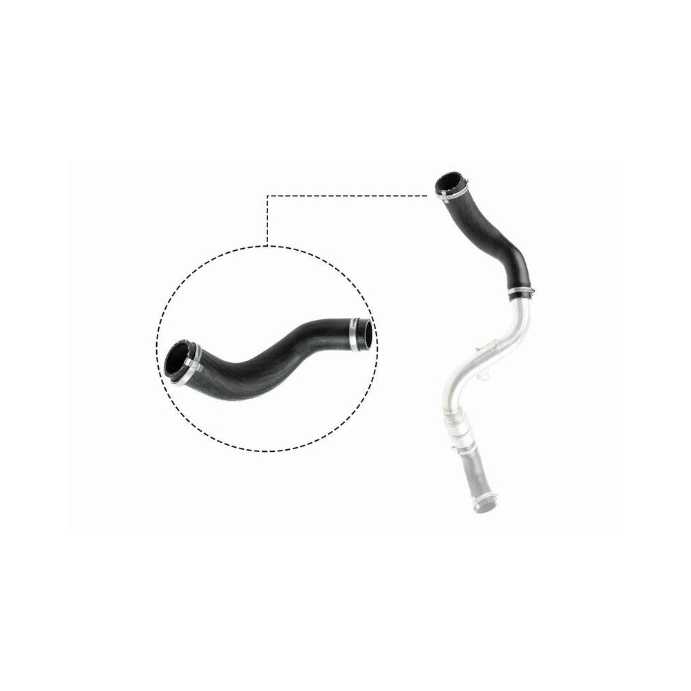 Ladeluftschlauch VAICO V25-1024 Q+, Erstausr&uuml;sterqualit&auml;t f&uuml;r FORD