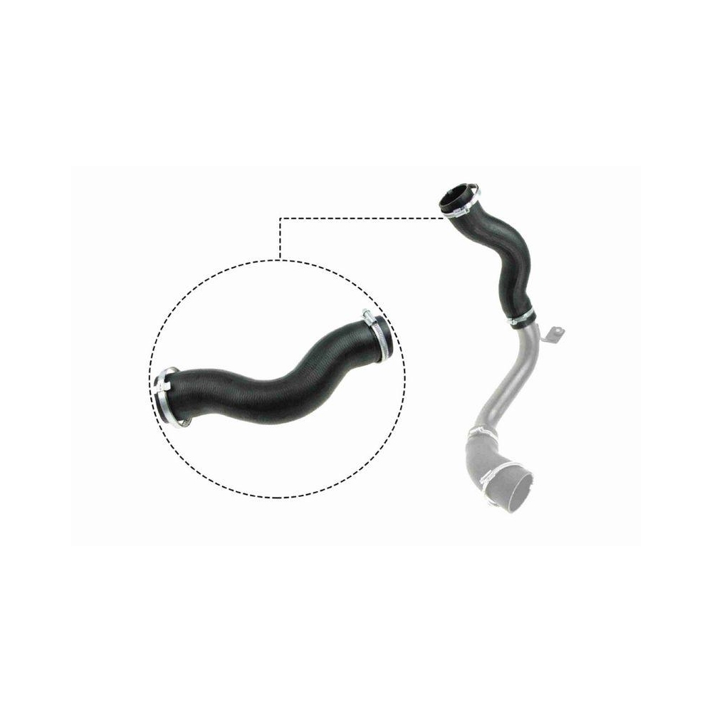 Ladeluftschlauch VAICO V25-1030 Q+, Erstausr&uuml;sterqualit&auml;t f&uuml;r BMW FORD