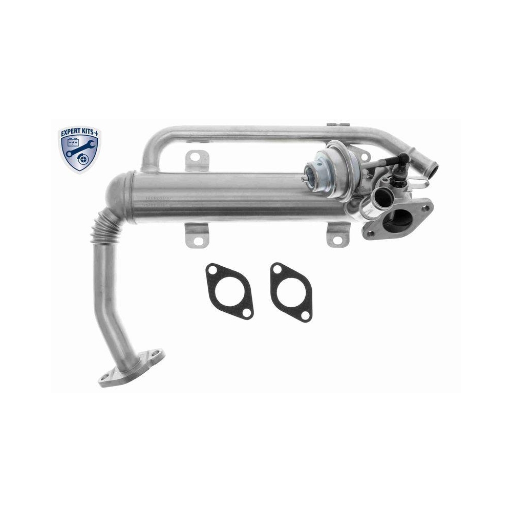 K&uuml;hler, Abgasr&uuml;ckf&uuml;hrung VEMO V10-63-0100 EXPERT KITS + f&uuml;r AUDI SEAT SKODA VW