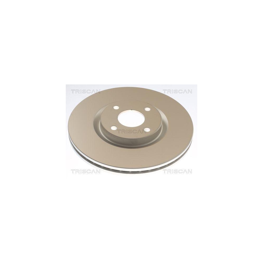 TRISCAN 8120 16197C 2 St&uuml;ck Bremsscheiben f&uuml;r FORD, Vorderachse