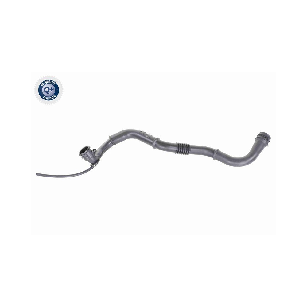 Ladeluftschlauch VAICO V46-0742 Q+, Erstausr&uuml;sterqualit&auml;t f&uuml;r RENAULT
