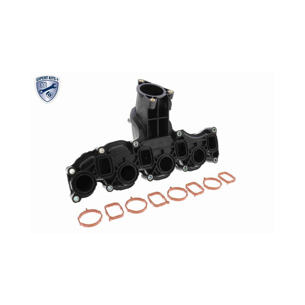 Saugrohrmodul VAICO V10-6484 EXPERT KITS + für AUDI SEAT SKODA VW VAG