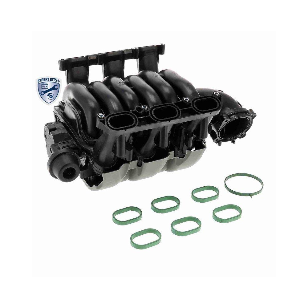 Saugrohrmodul VAICO V10-6771 EXPERT KITS + f&uuml;r AUDI