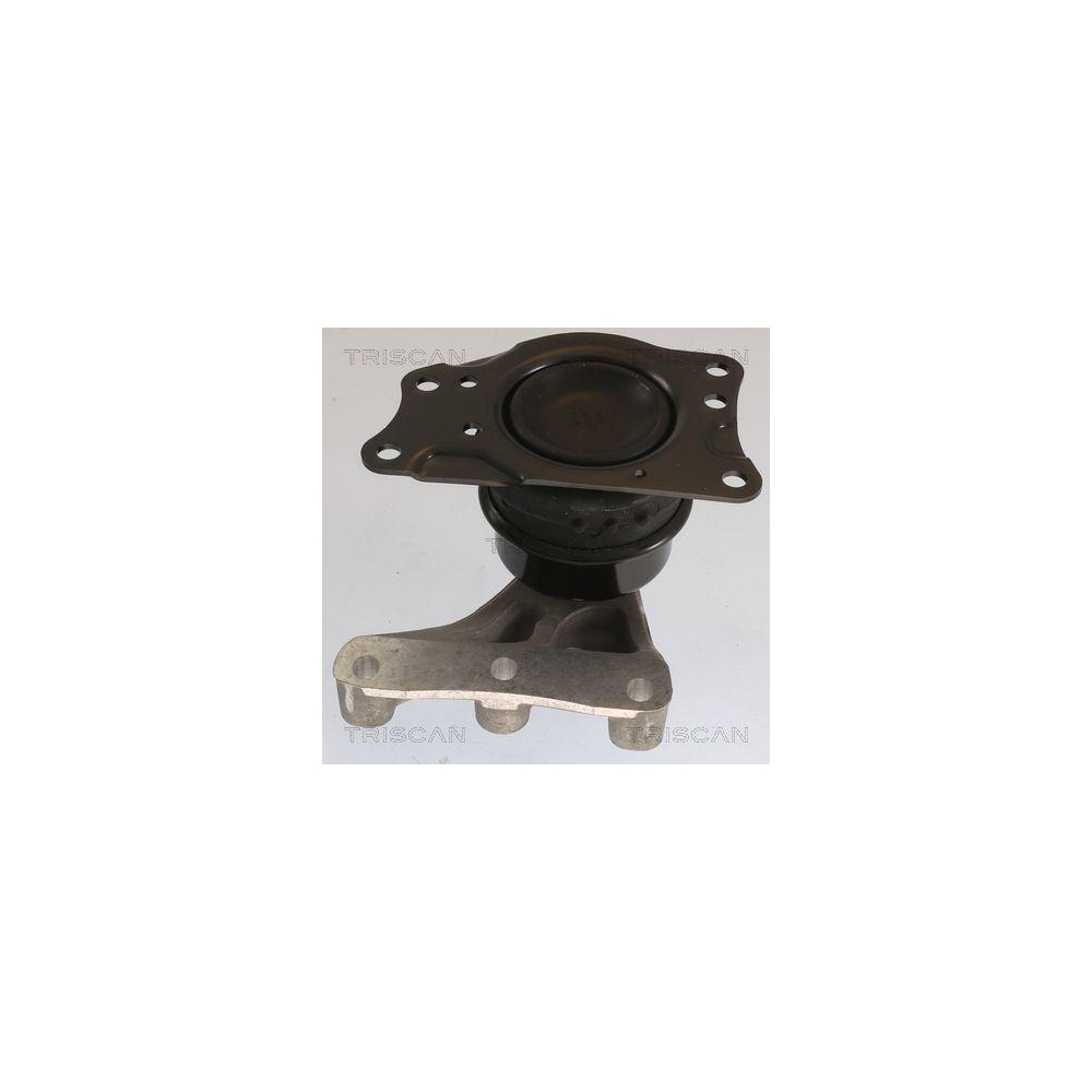 Lagerung, Motor TRISCAN 8505 29176 f&uuml;r SEAT SKODA VW, rechts